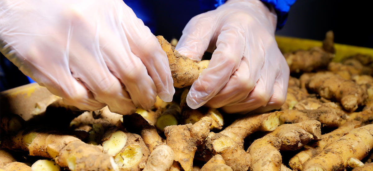 現(xiàn)場(chǎng)工作展示