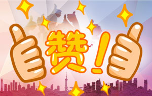 客戶(hù)盛贊：“你們的服務(wù)態(tài)度真是行業(yè)******！”