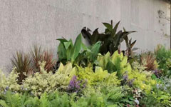 不看不知道，客戶這一年又做了這么多園林項(xiàng)目！