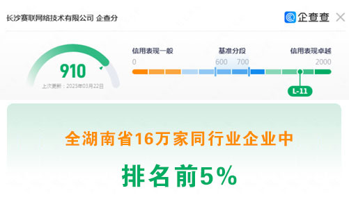 大數(shù)據(jù)顯示：長(zhǎng)沙賽聯(lián)網(wǎng)絡(luò)在16萬(wàn)家同行企業(yè)中排名前5%